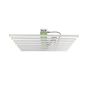 800W Led Bahçecilik Led Büyümek Işık 8 Bar 380nm 760nm IP65
