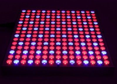 38W 0.5m2 / 0.3m Hidroponik Led Grow Işıklar 45W Düz Panel İç Mekan Bitkileri