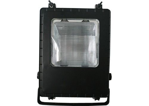 100w IP65 Stadyum Büyüme Işıkları Billboard Metal Halide Reklam