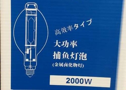 BT220 2000w MH Ampul Balık Lambası HID ​​Metal Halide Kalamar Balıkçılık Lambası