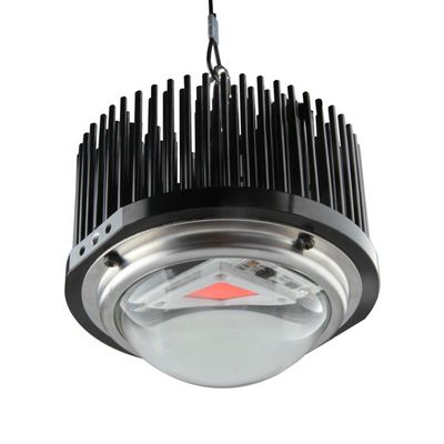 50W DOB Ev Yapımı Led Grow Işıklar, Cob 1M2 Full Spectrum Grow Light Kitleri
