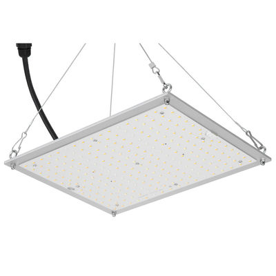 RikoLite 100W 277vac Hidroponik Led Grow Işıklar Kuantum Kurulu 167.3umol/S