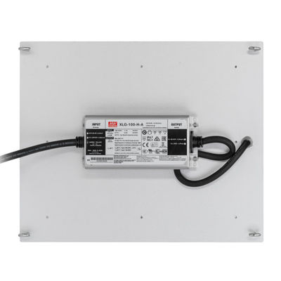 RikoLite 100W 277vac Hidroponik Led Grow Işıklar Kuantum Kurulu 167.3umol/S