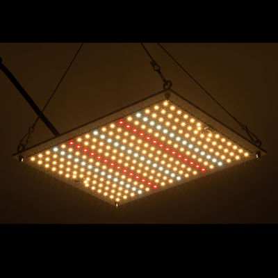 RikoLite 100W 277vac Hidroponik Led Grow Işıklar Kuantum Kurulu 167.3umol/S