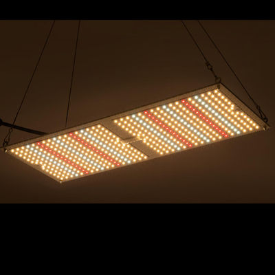 Rikolite 200w Şifalı Bitki Kapalı Yetiştirme Kuantum Kurulu hidroponik yetiştirme sistemleri