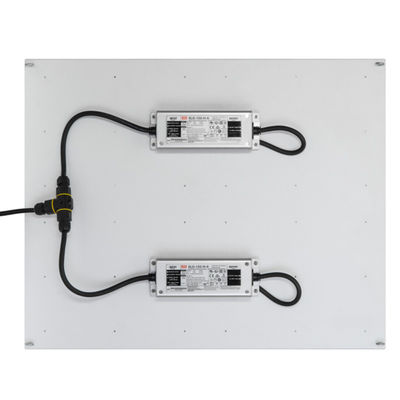 Rikolite 400w Yüksek Güçlü Led Grow Işıklar, 149.6m / W Hidroponik Bitki Işık Büyütüyor