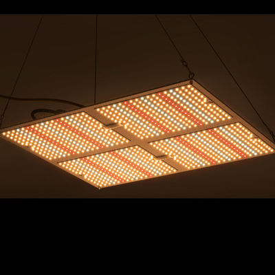 Rikolite 400w Yüksek Güçlü Led Grow Işıklar, 149.6m / W Hidroponik Bitki Işık Büyütüyor