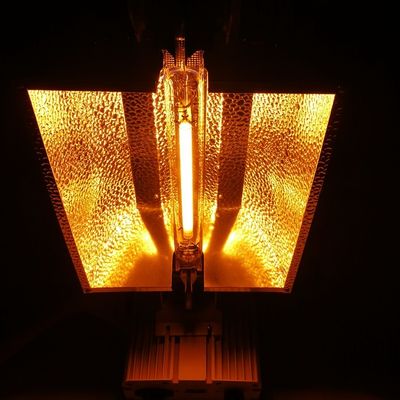 1000W HPS Çift Uçlu Grow Lights Uzaktan Kumandalı Aydınlatma Çözümü 2100umol/s