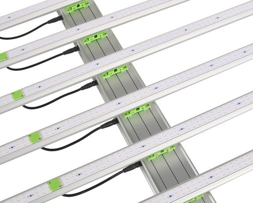 600W 1560μMol Bitki LED Grow Işıkları 6 Bar EPAR 380nm-760nm