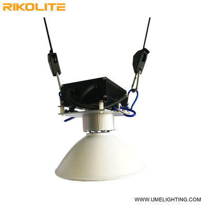 G12 Cmh 150w Led Bitki Büyüyen Işıklar Fide Vegging Yüksek Verimli Aydınlatma