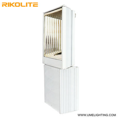 500W 900umol/s 265VAC CMH Grow Light 208-277V 3000K Ampul ile