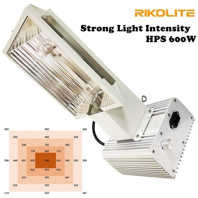 Yüksek Yoğunluklu Hafif Hava Pro 600W HPS Sera İçin Işık Büyütüyor