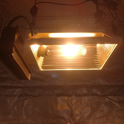 Air PAR Plus CMH 150W 2X2 Büyüme Çadırı için Yatay Büyüme Işık Fikstürü