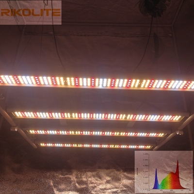 Galaxy 2835SMD LED 240W 4 Bar Katlanabilir Bitki Büyüme Işıkları 0 - 10V Kısılabilir