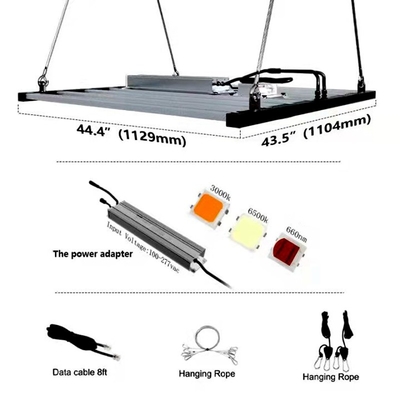 2000umol / S 1000 Watt Led Grow Işık Çubuğu Dikey Tarım için Led Grow Işık Şeritleri