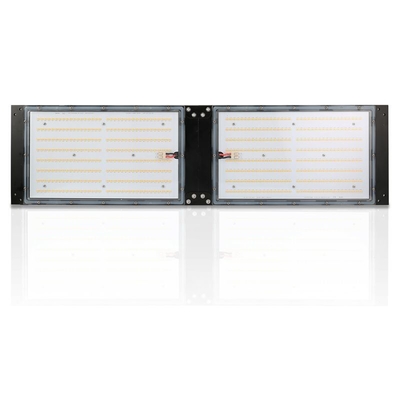 Su geçirmez IP65 LED Bitki Büyüyen Işık 240W Tarım İçin SAMSUNG Kuantum Kartı