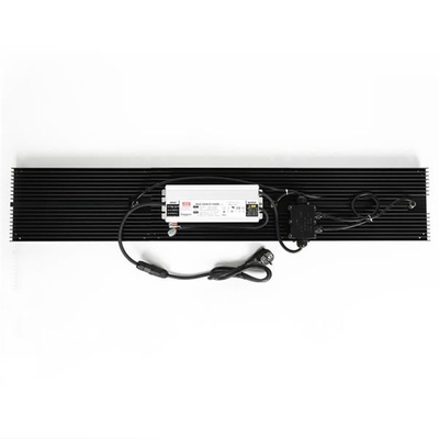 Hydroponics Quantum LED Grow Lights IP65 320w Sebze İçin Tam Spektrum