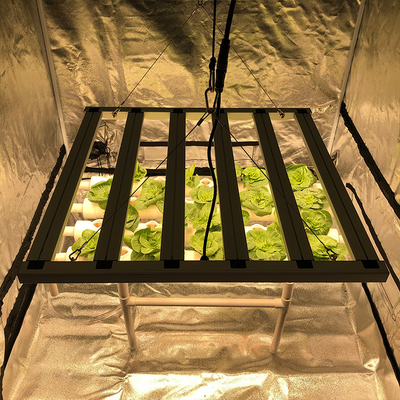 Sürücü Ücretsiz Tam Spektrum LED Grow Işıkları Tarım İçin Uyumlu 600w Balast