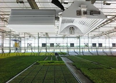 1050µMol / S HID LED Grow Işıkları, 630W Mahsuller Seramik Metal Halide Grow Light