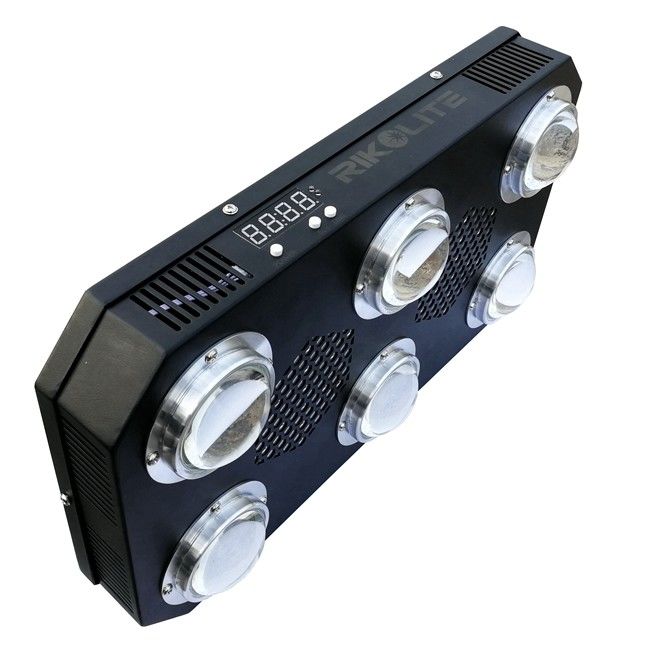 300W 4.2kgs LED COB Grow Light Çiçekli Isı Emici Plaka Fan 24hrs Anahtarı 300w Led Grow Işık