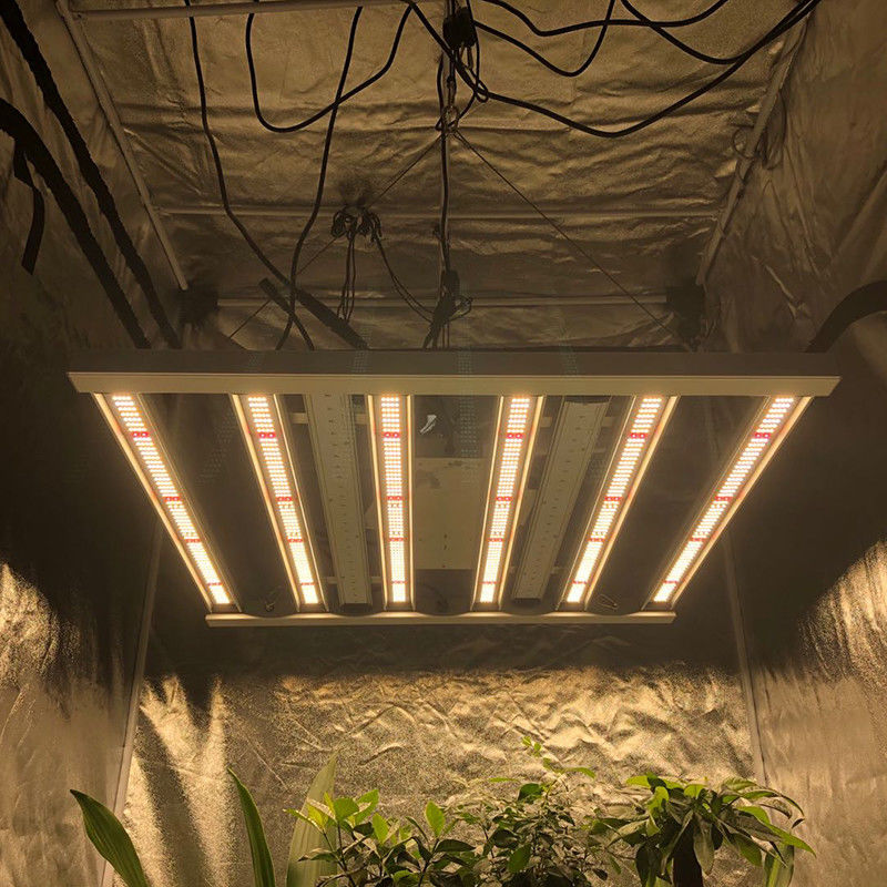 35 Santigrat Bahçıvanlık Led Grow Işıklar 480W 6 Sütun 2.6μMol / J Işıklar Bar